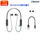 SONY WI-C310/N金色(公司貨):::Bluetooth5.0版本,入耳式藍牙耳機,免持通話,快充支援,免運費,刷卡或3期零利率,WIC310