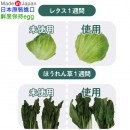 DOSHISHA GE1PK粉色(日本原裝):::日本製,鮮度保持蛋,蔬果保鮮蛋,刷卡或3期,4550283242049